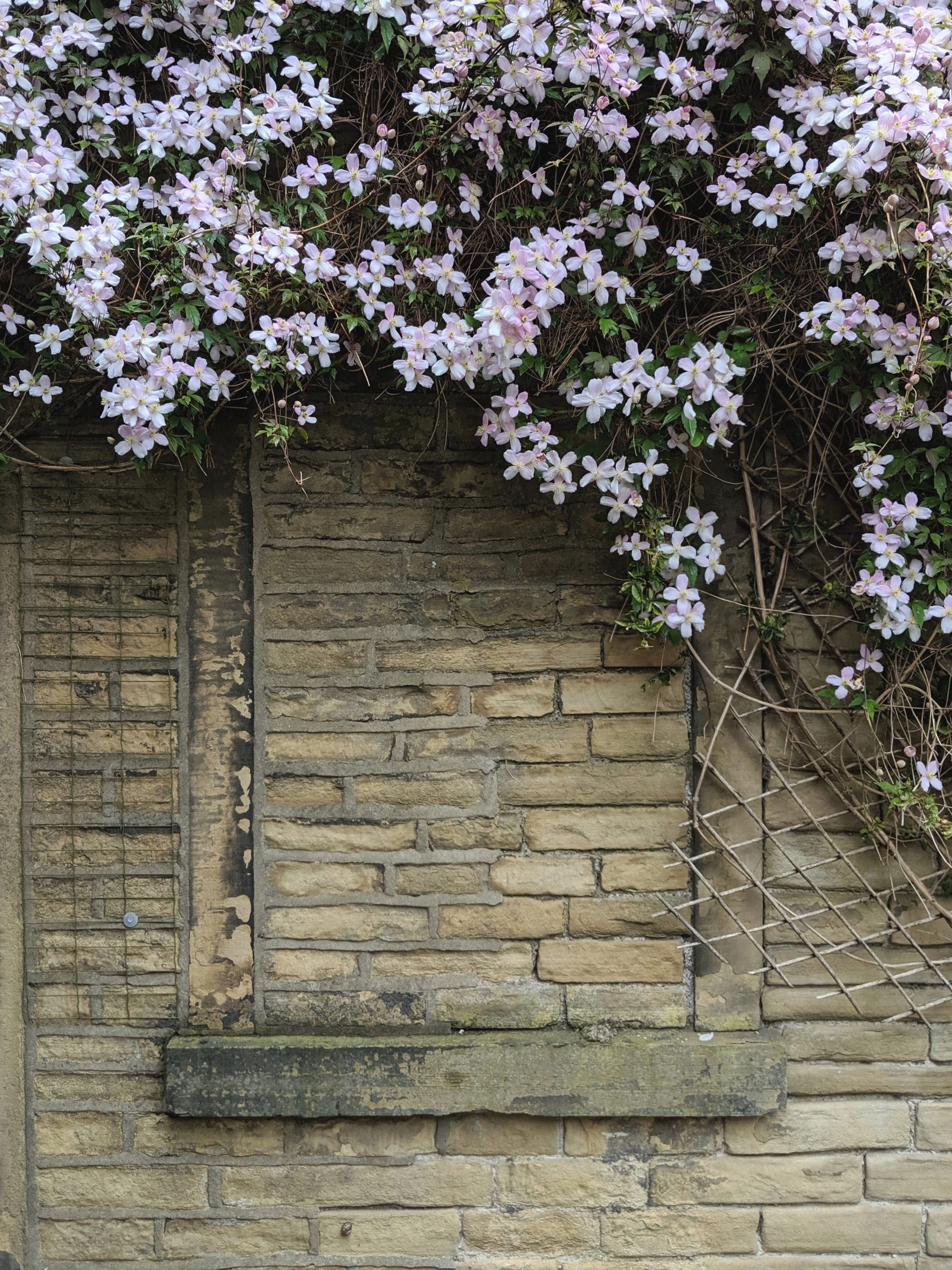 Decembering Cornish holiday - Shiena Bowen