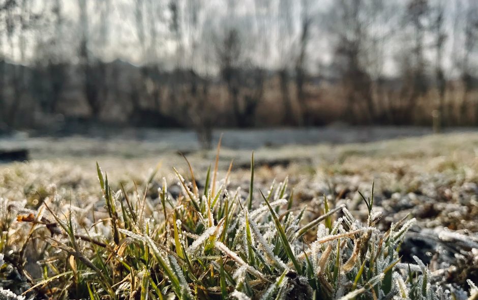 Frost